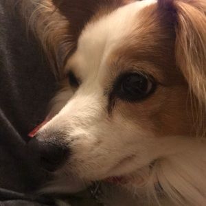 Meet your Posher, Jade